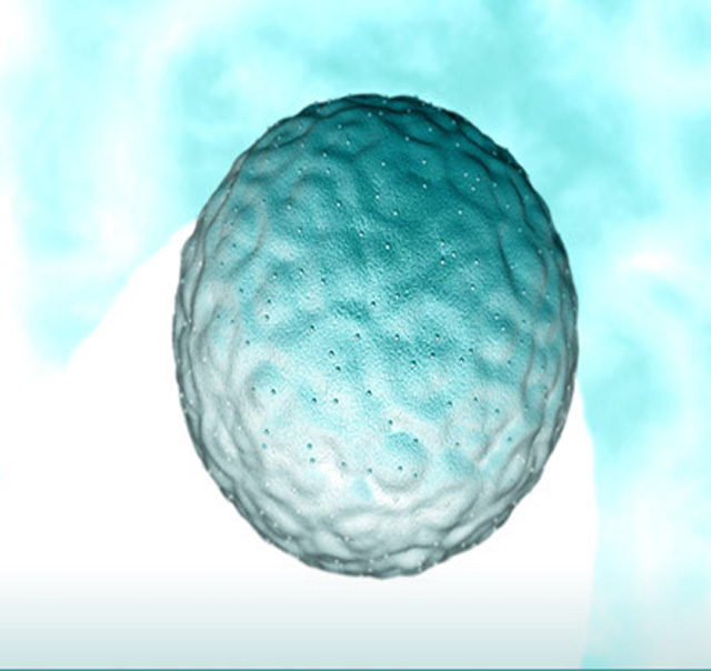 What is Preimplantation Genetic Screening